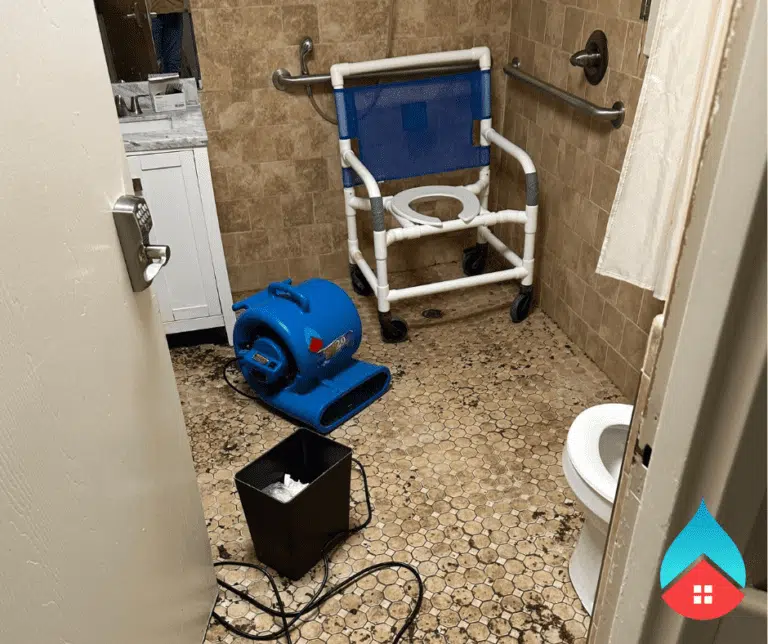 Contaminated water from toilet overflow being extracted with professional equipment in Elkhart home