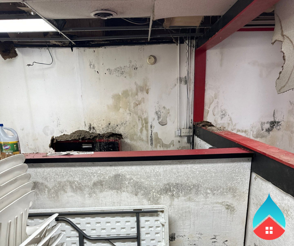 Mold growth on interior drywall during inspection