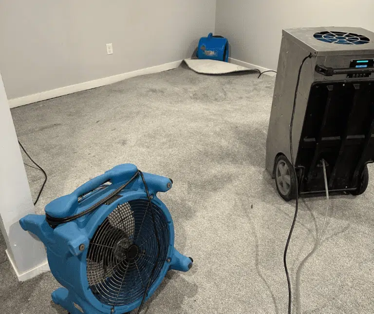 Technician capturing before‑and‑after photos for insurance documentation
