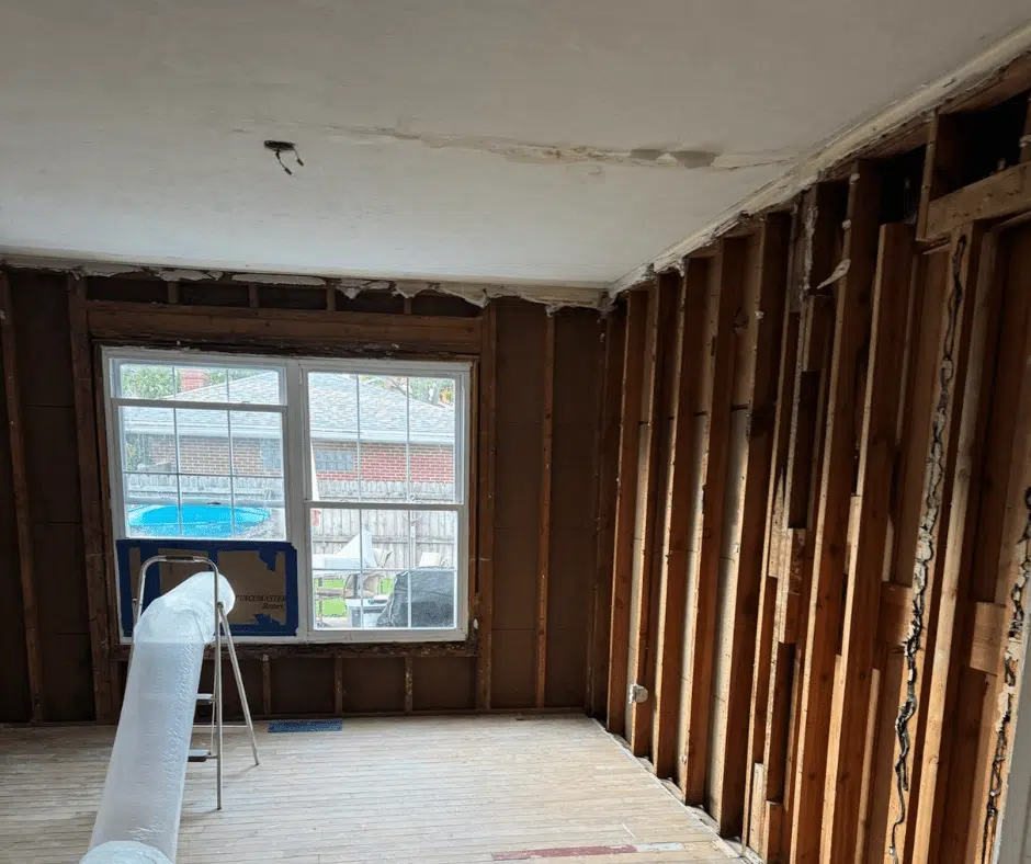 Moisture mapping tools arranged for a full property assessment