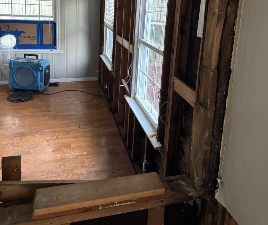 Surface mold identified during home moisture assessment