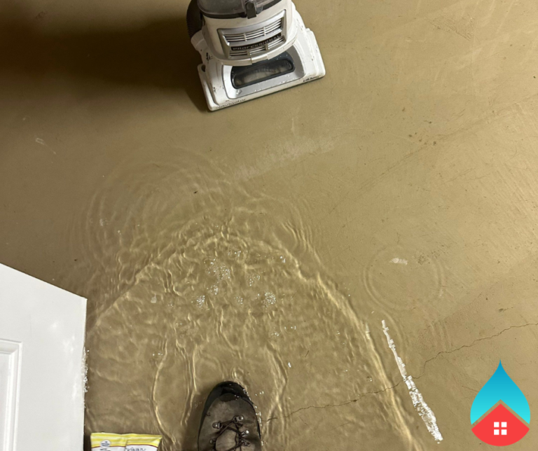Restoration specialist using moisture meter to detect mold‑prone areas
