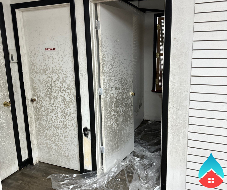 Professional applying antimicrobial treatment to remove mold contamination