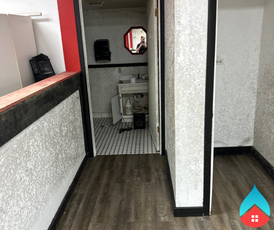 Containment barriers set up to prevent mold spores from spreading during cleanup