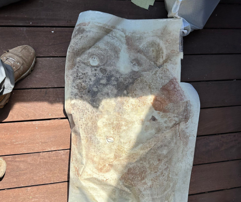 Visible mold on basement wall before remediation