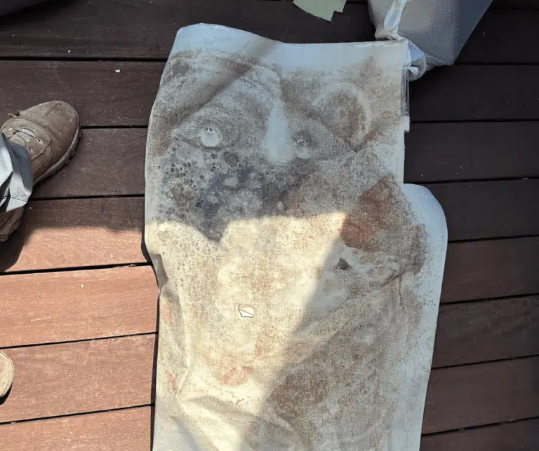 Visible mold on basement wall before remediation