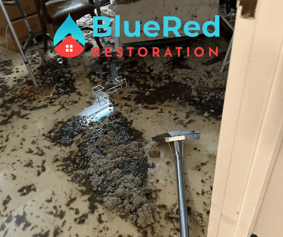 - Stormwater cleanup crew removing water and debris from flooded Elkhart basement - Restoration technicians extracting stormwater after heavy rain damage in Elkhart home. Flooded room in Elkhart undergoing professional storm cleanup and drying - Storm damage cleanup with water extraction equipment in residential property - Standing stormwater being removed from basement floor after severe weather in Elkhart If you want these matched to a specific photo, upload it and I’ll tailor the alt text precisely.