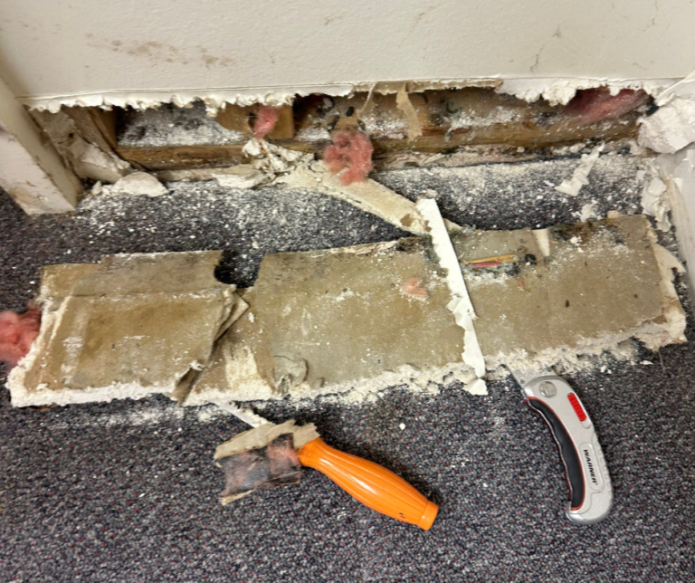 Technician using professional leak‑detection tools inside a Niles, MI home to locate hidden moisture behind walls and begin targeted repairs to stop water damage from spreading.