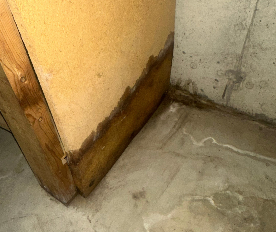 Homeowners searching for “water removal near me”, “emergency water extraction Niles MI”, or “basement water cleanup Niles” need immediate help—