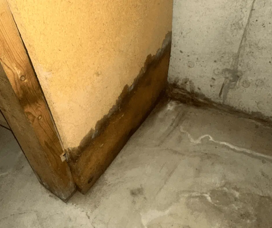 Homeowners searching for “water removal near me”, “emergency water extraction Niles MI”, or “basement water cleanup Niles” need immediate help—