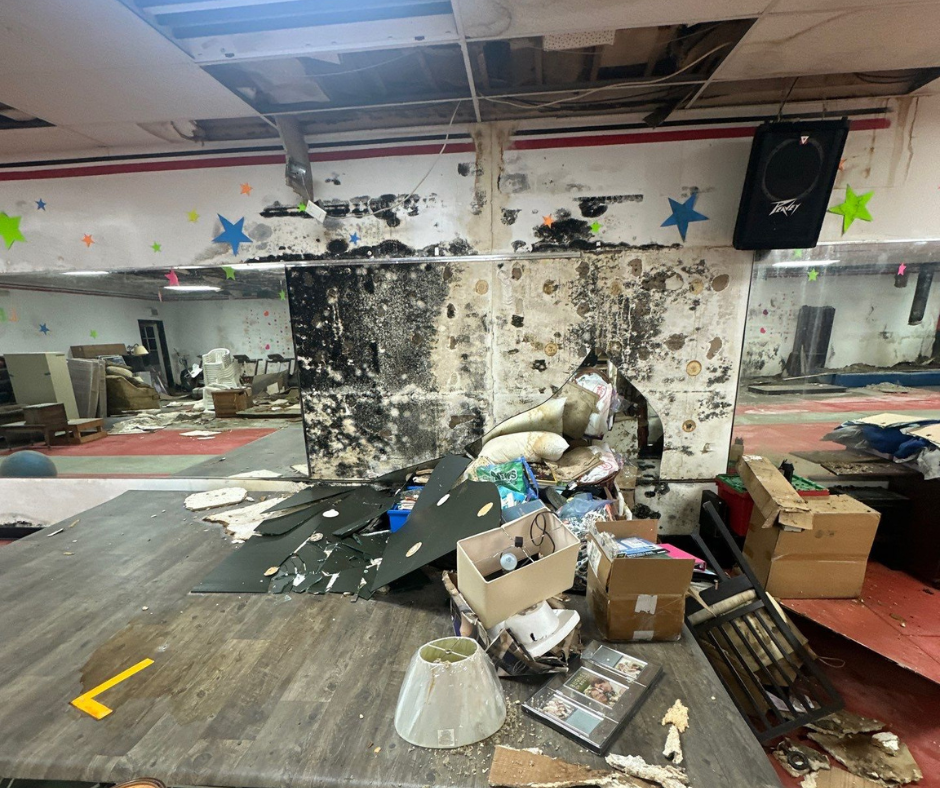 Technician removing damaged materials affected by mold growth - Dehumidifiers and air movers drying a room after mold remediation If you want, I can generate 10 more focused on crawl spaces, basements, bathrooms, attics, or equipment‑specific angles.