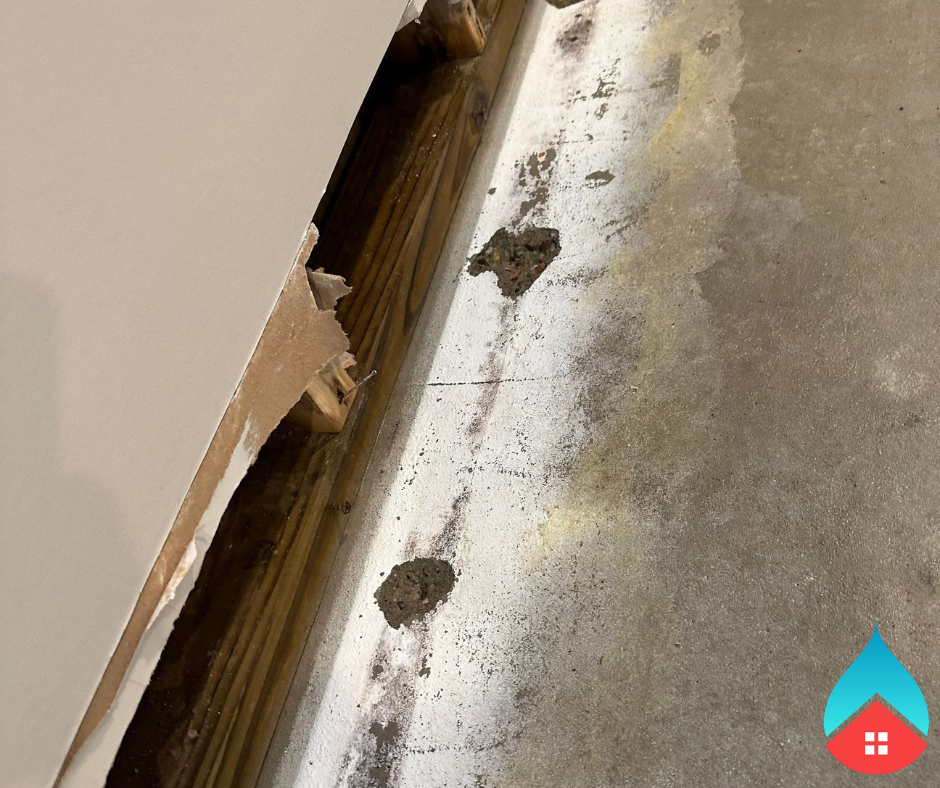 Technician treating musty odors in a Niles, MI home, using moisture‑detection tools and drying equipment to remove hidden moisture and restore clean indoor air after water intrusion.