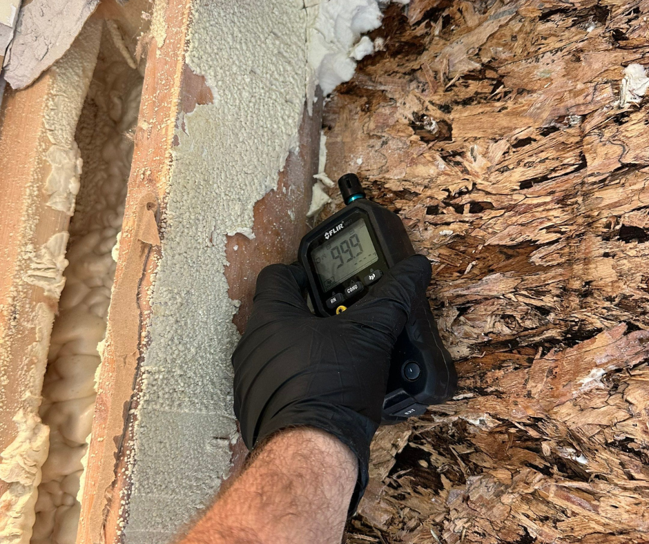 Technician inspecting a leaking valve in a Niles, MI home, using moisture‑detection tools to locate water from loose fittings and slow drips before beginning targeted cleanup and drying to prevent hidden moisture damage.