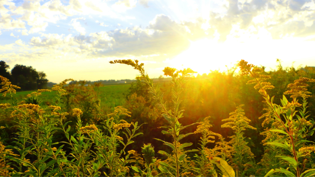 Professional water damage restoration equipment deployed in a Warsaw home.