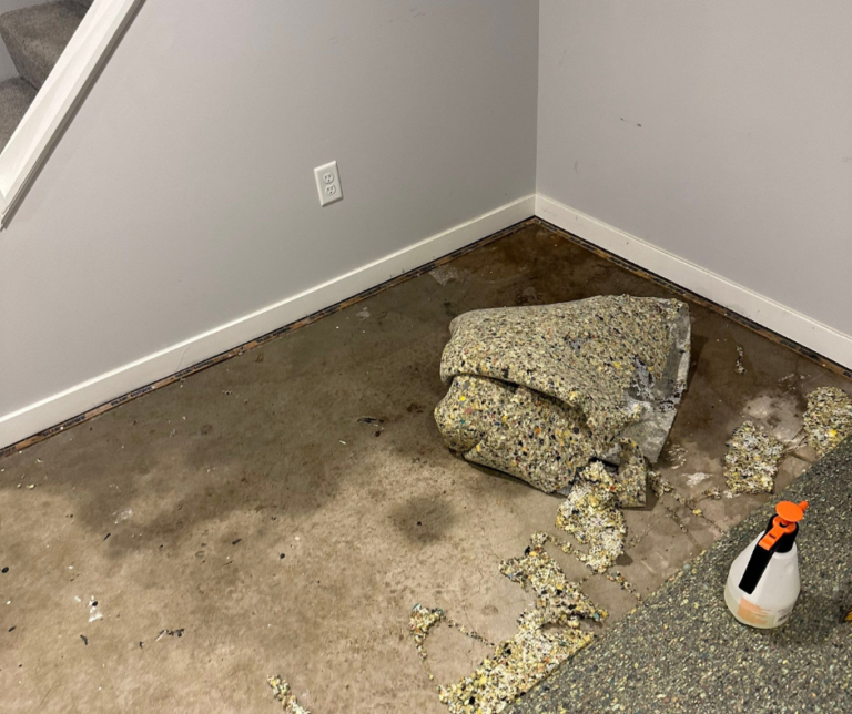 Technicians performing water cleanup in a Niles, MI multi‑unit building, extracting water and drying affected areas to protect rental units, prevent moisture spread, and reduce damage for property owners and tenants.