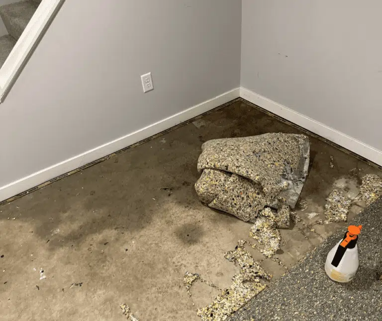 Technicians performing water cleanup in a Niles, MI multi‑unit building, extracting water and drying affected areas to protect rental units, prevent moisture spread, and reduce damage for property owners and tenants.