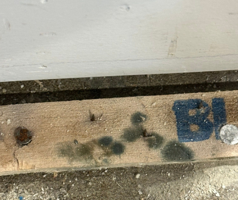 BlueRed Restoration capturing photos and measurements for a water damage insurance claim.