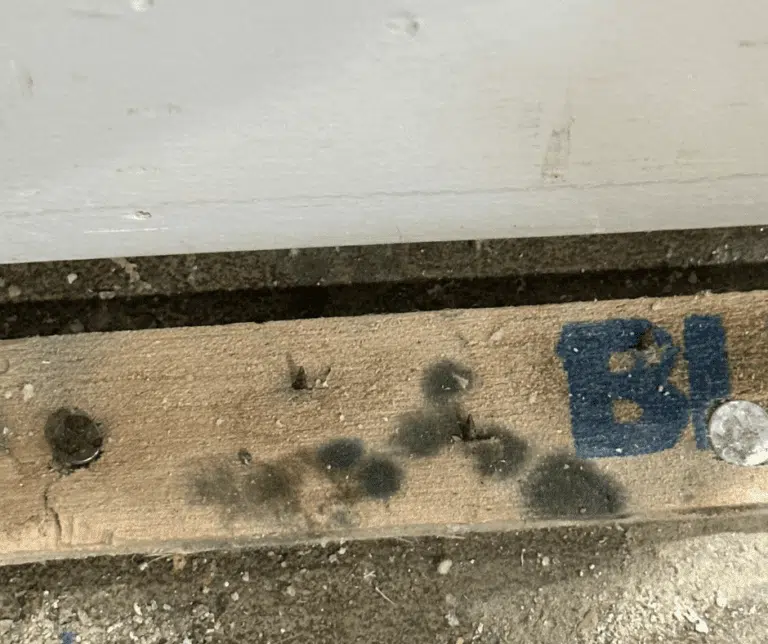 BlueRed Restoration capturing photos and measurements for a water damage insurance claim.