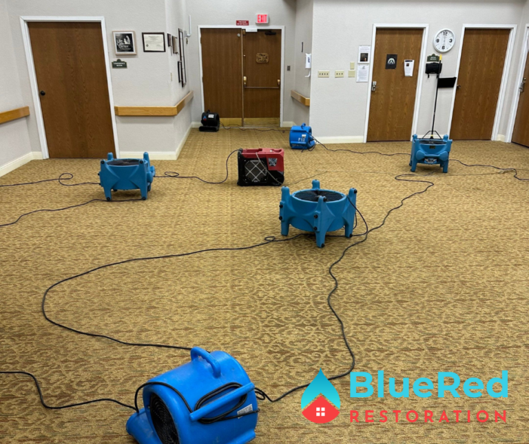BlueRed Restoration Emergency drying wet carpet after appliance leak in Chesterton