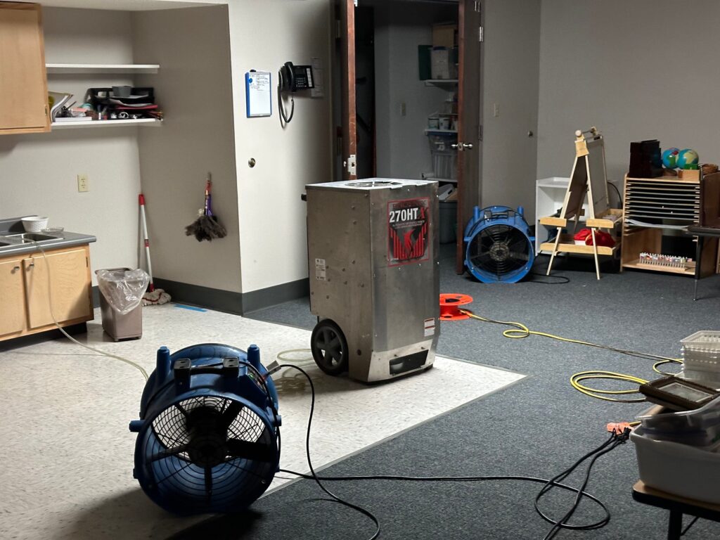 Certified technician inspecting mold‑affected area