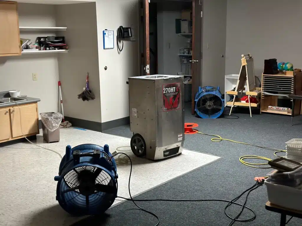 Certified technician inspecting mold‑affected area
