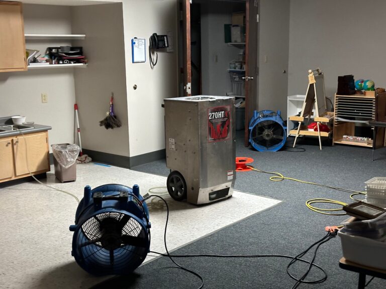 Certified technician inspecting mold‑affected area