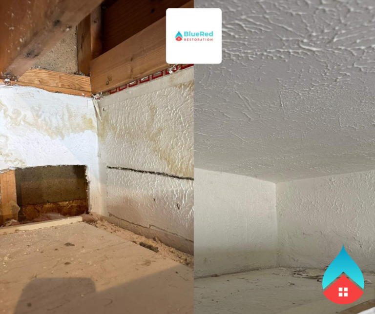 Basement with standing water being pumped out after sump pump failure.