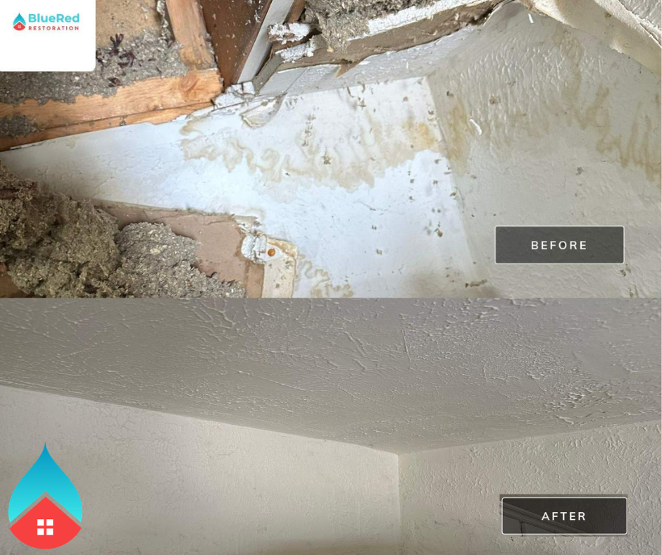 Crawlspace with drying equipment removing moisture and preventing mold growth.