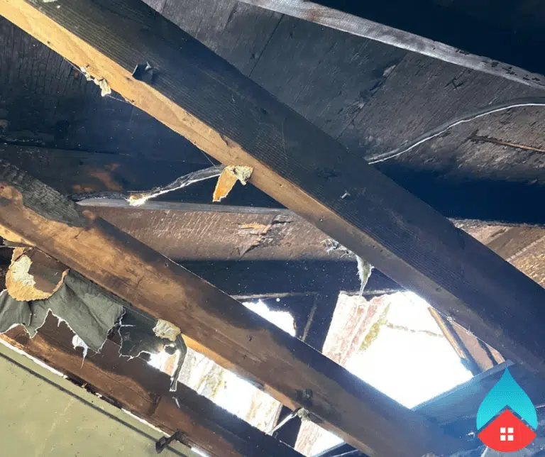 Professional deodorization equipment removing smoke and odor from a home.