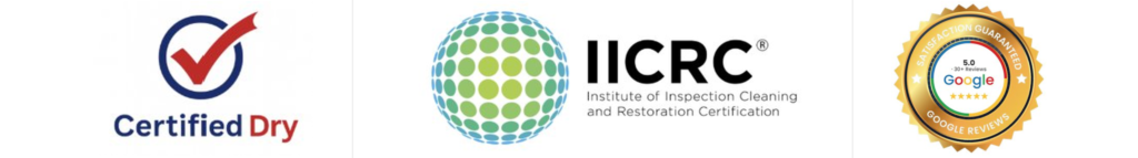 credentials strip hq scaled e1777157056626