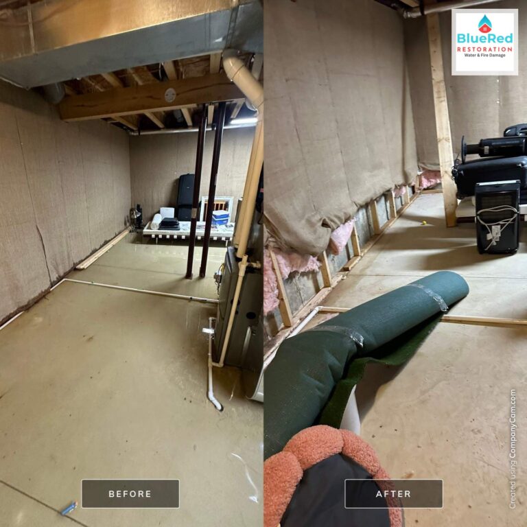 batch3_post4_rainstorm_basement