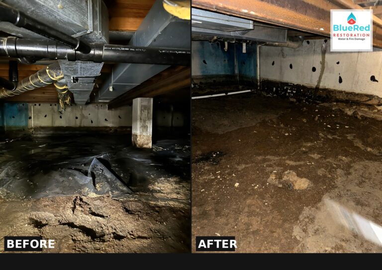 post1_crawlspace_before_after